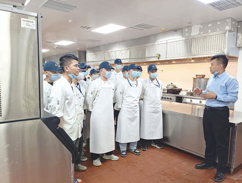 喜报！华南烹饪餐饮服务团荣获“青年文明号”称号，彰显餐饮服务新风尚